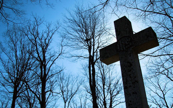 lift-high-the-cross-1311747-639x451crop