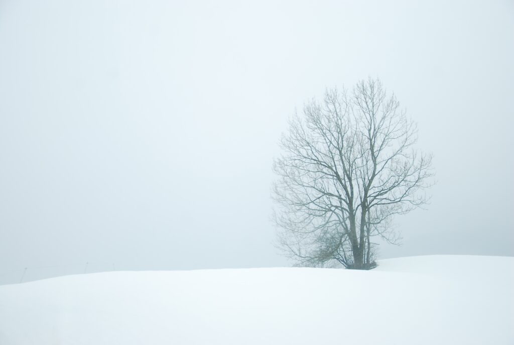 why December 25th