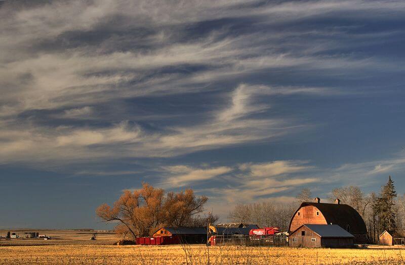 Prairie Farm