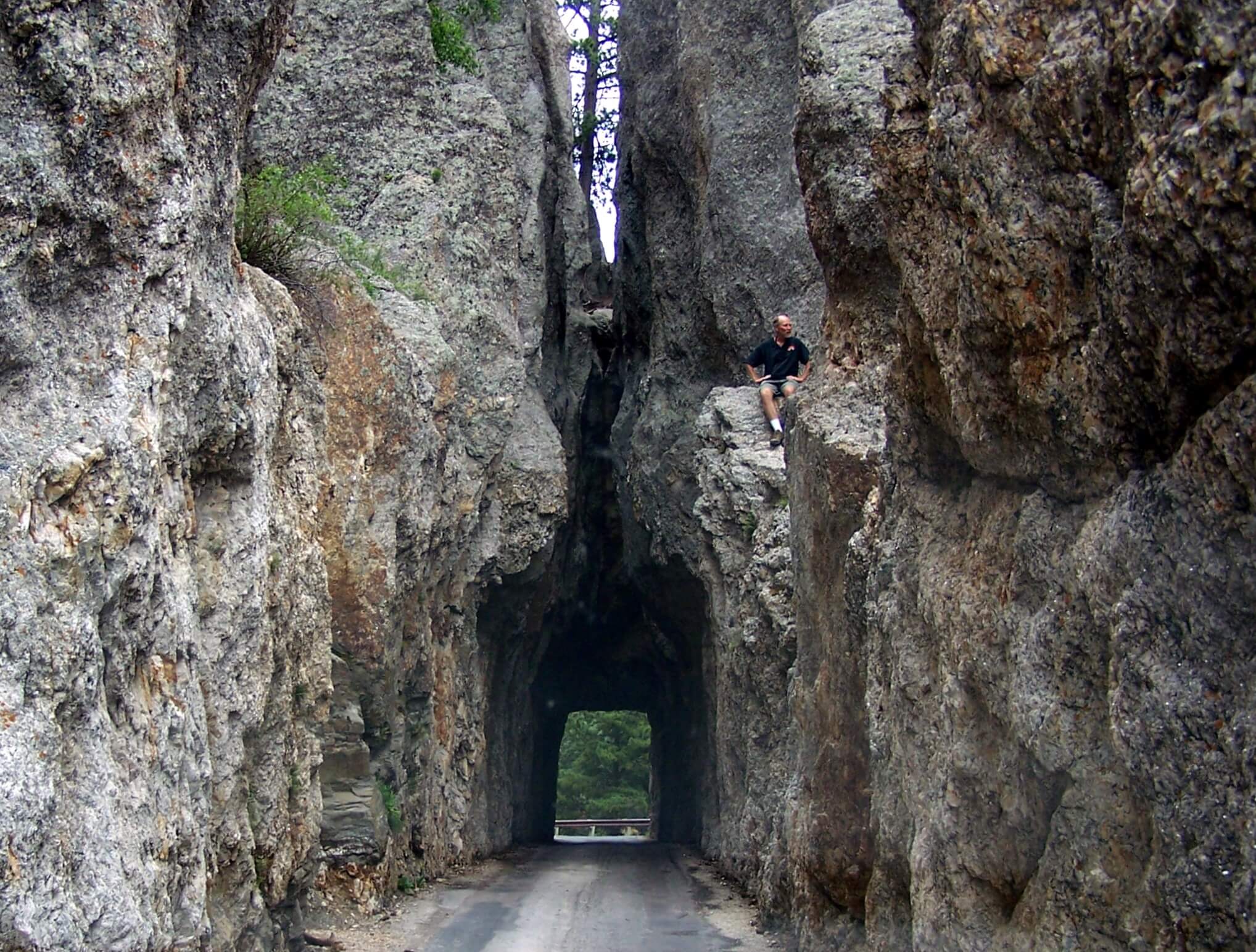 Needles Highway