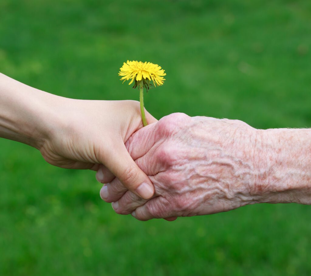Thankful Therapy – Mark Hillis