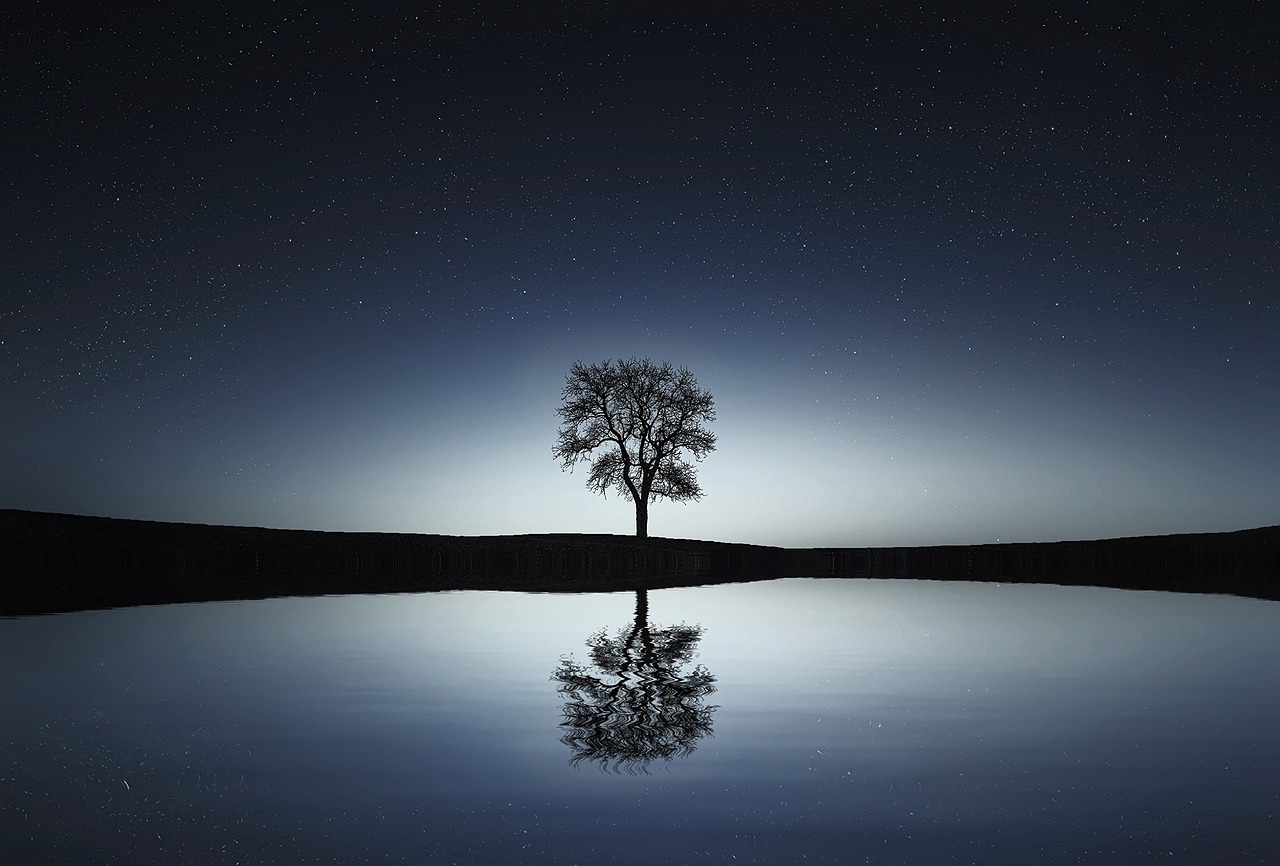 Reflection Of Jesus