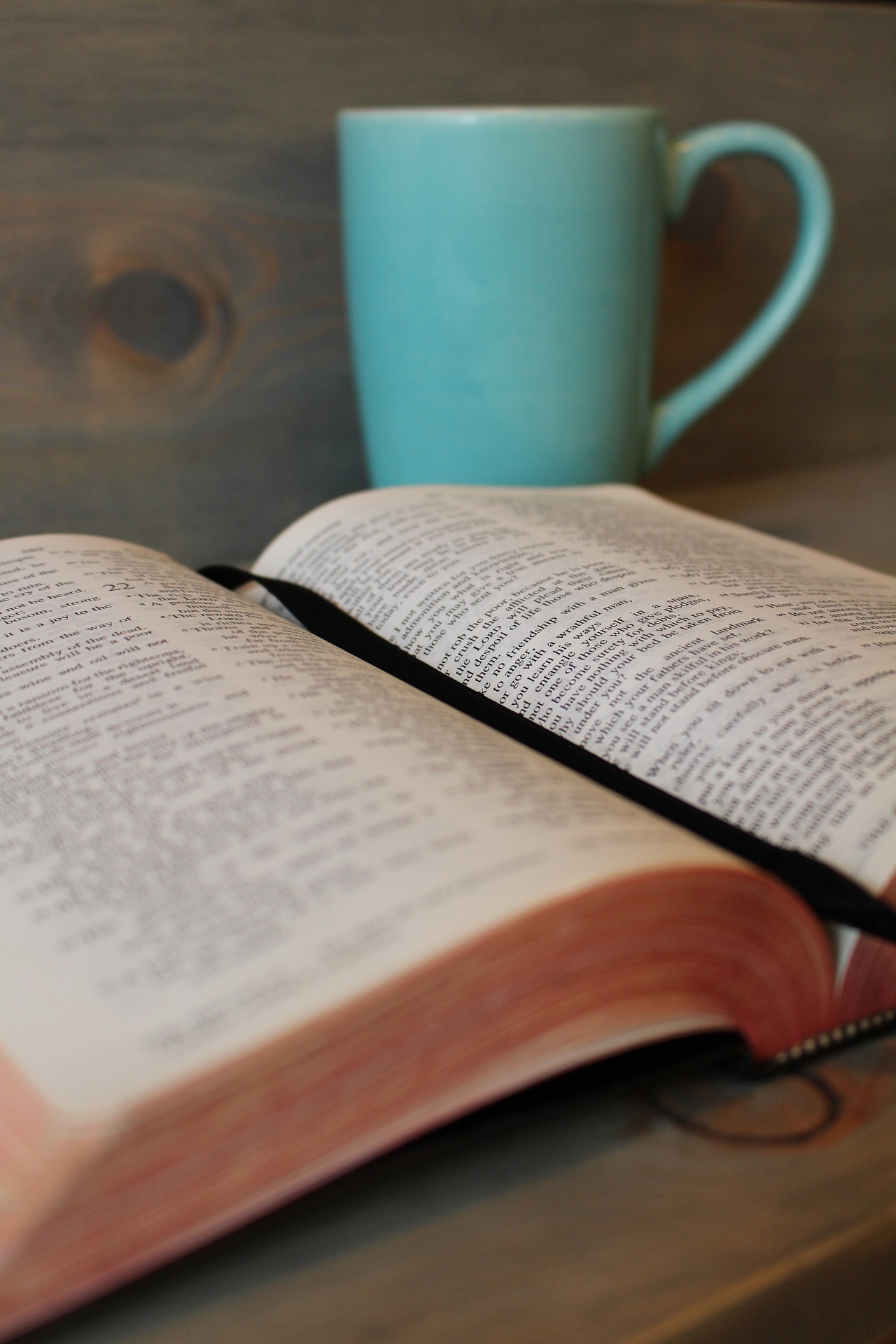 following jesus