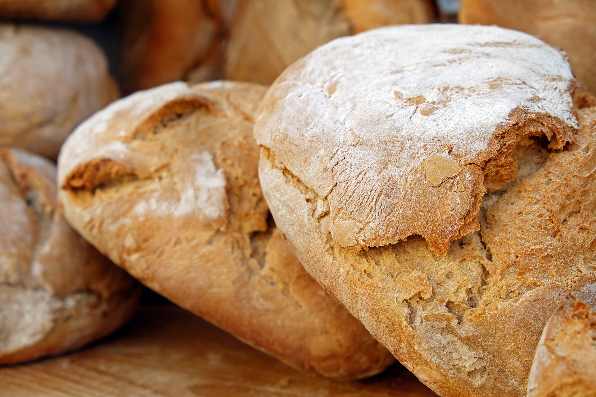 jesus is the bread of life