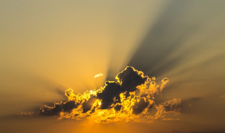 Living Hope – The Power of Resurrection and New Life