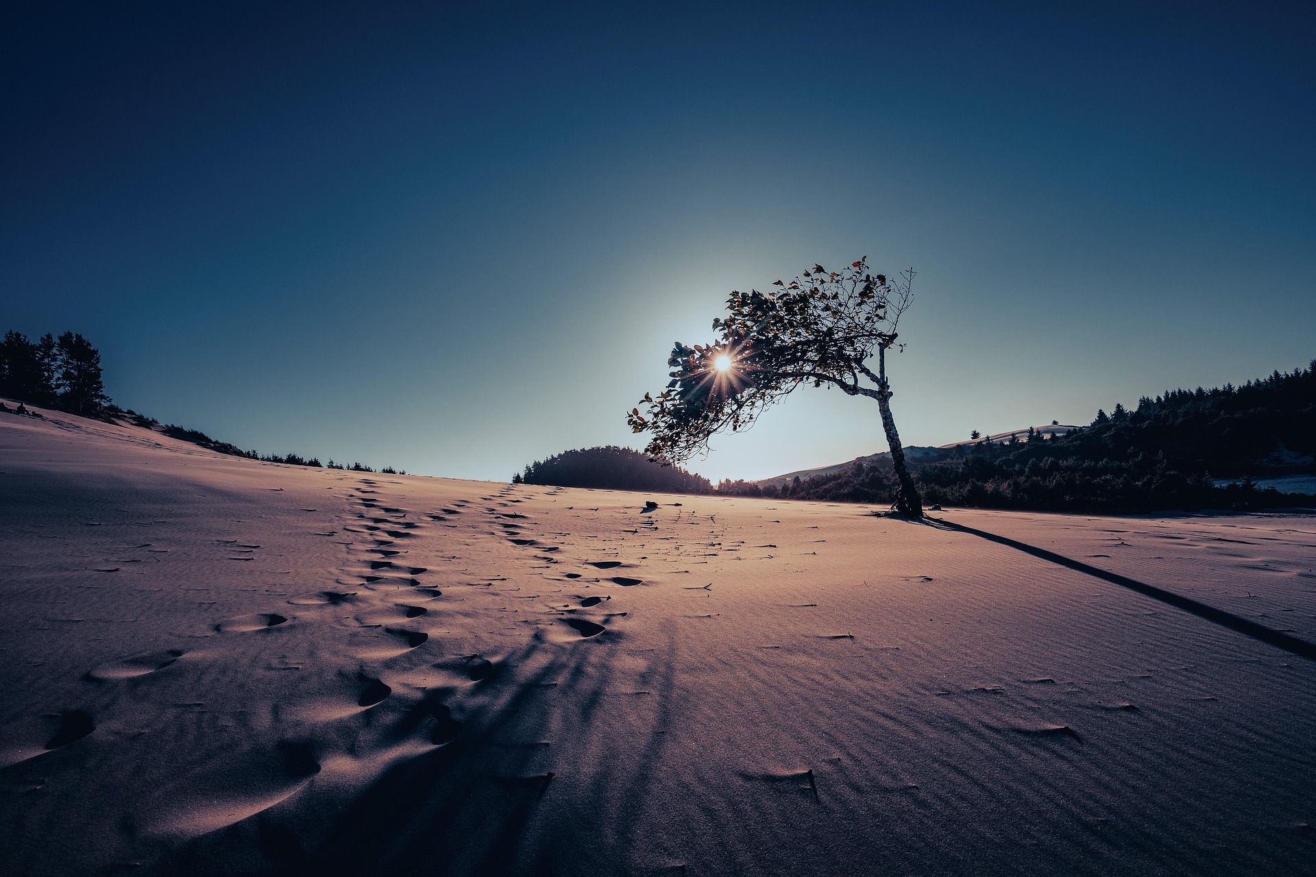 footprints