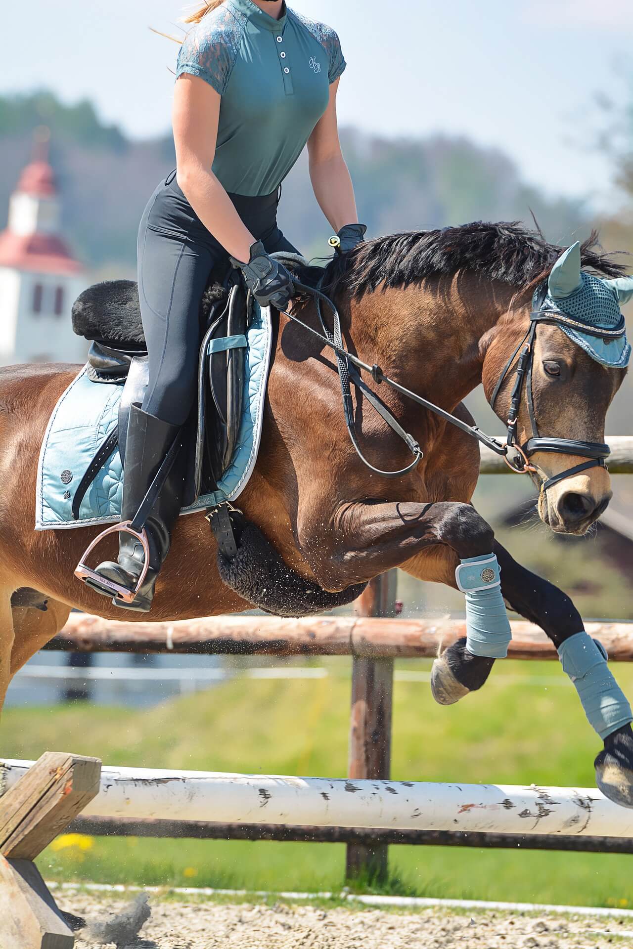 bridle