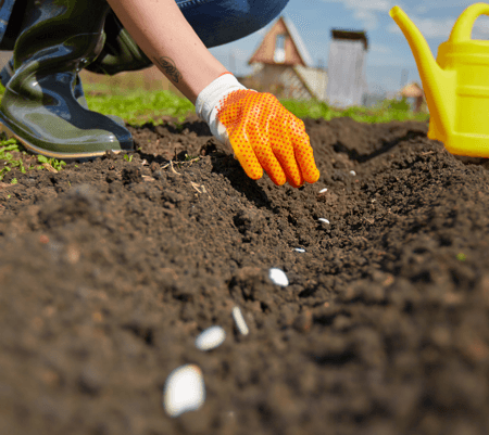 reap what you sow