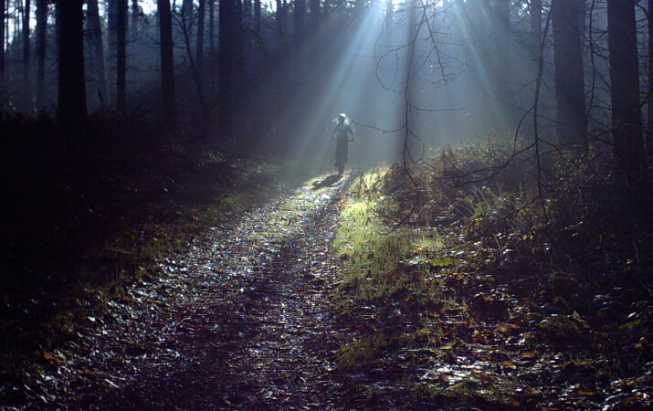 light