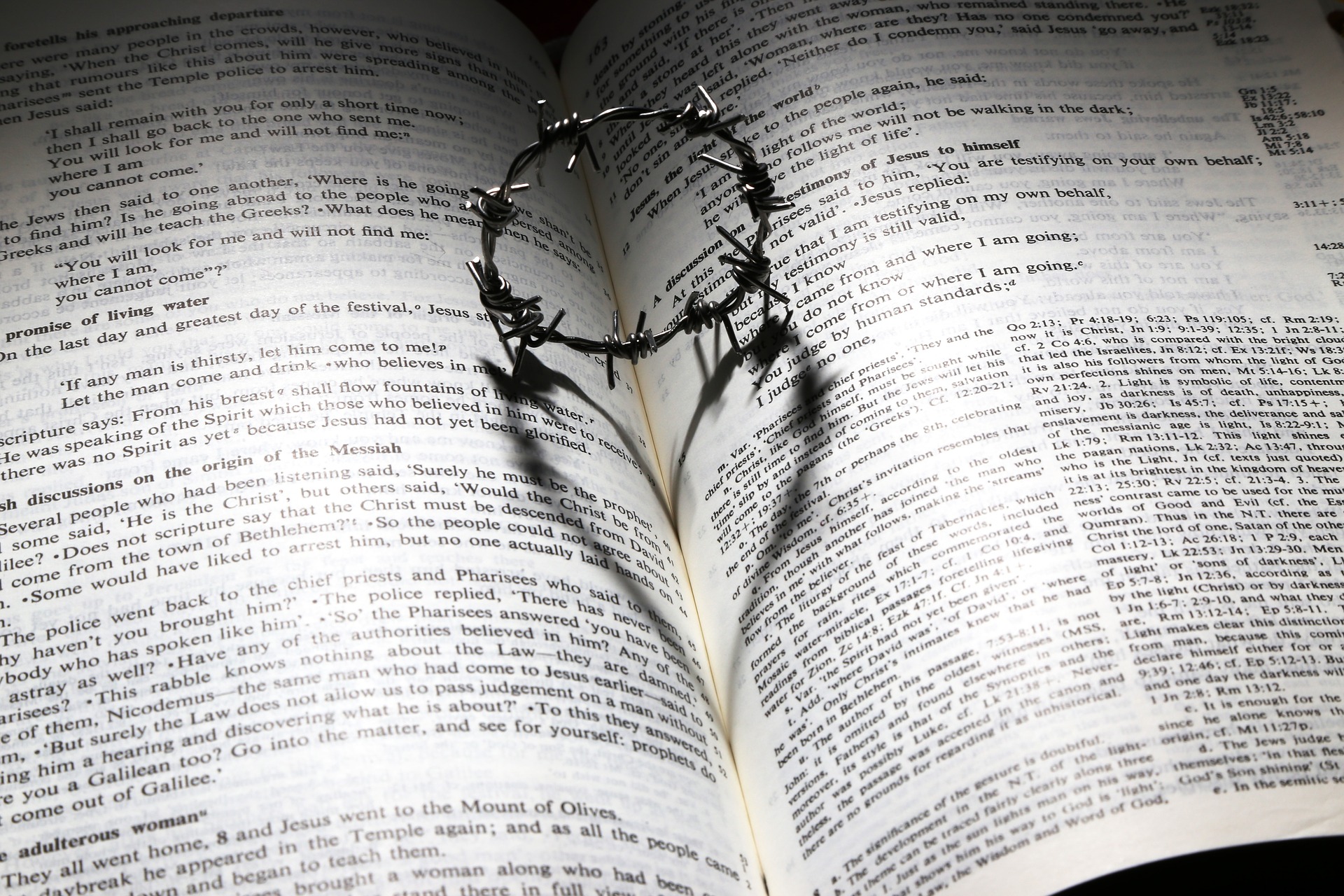 crown of thorns