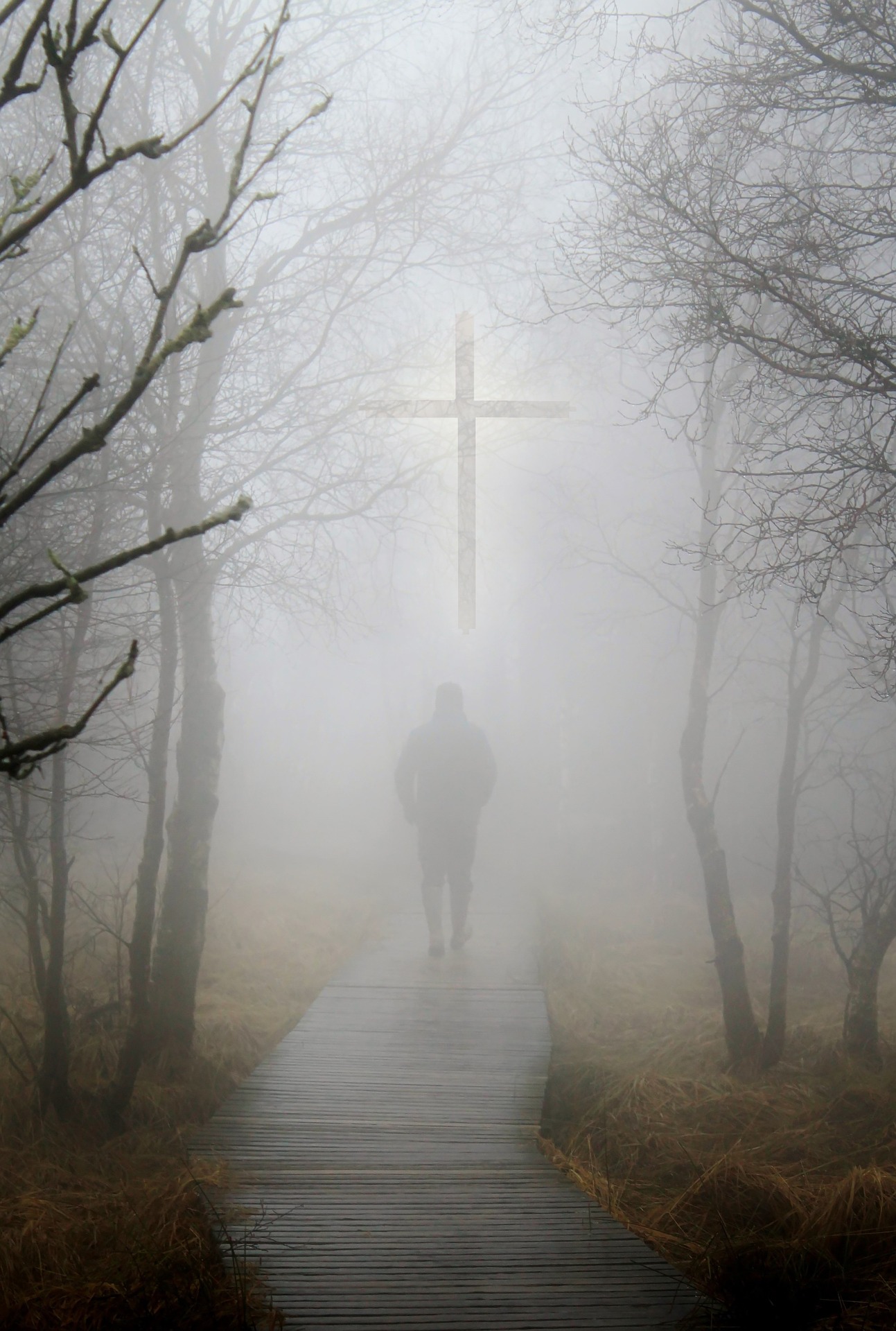 Follow Jesus