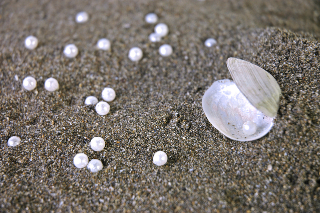 pearl-1178904-639x424