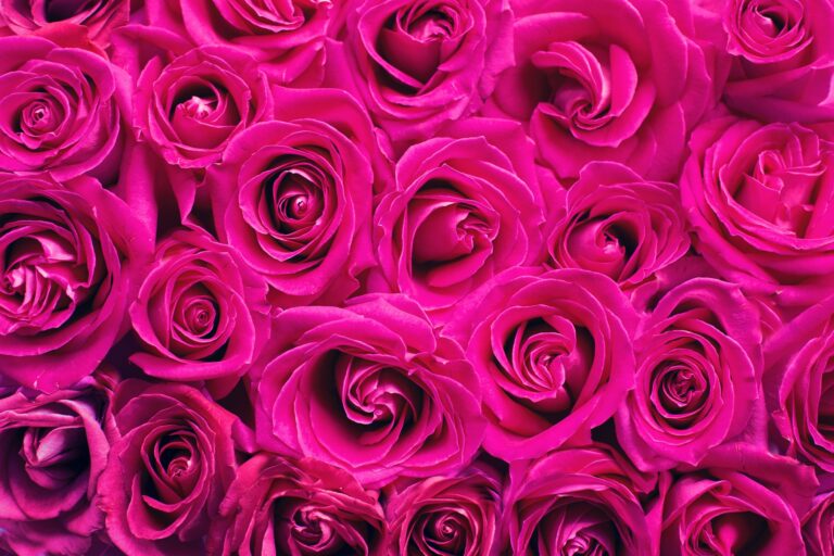 The Best Way to Live – Living With Love