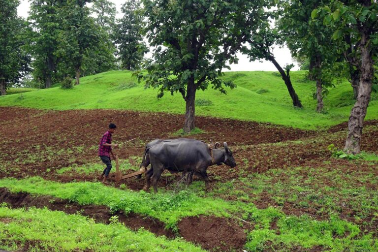 Plowing – Sow To Grow Part Three