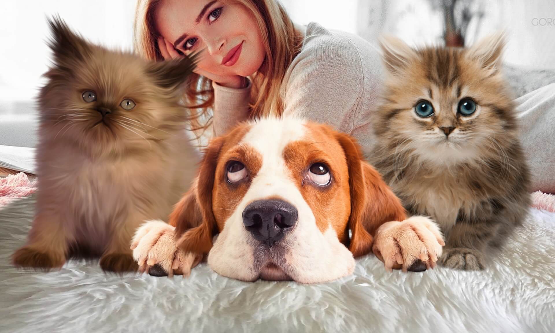 puppies and kittens