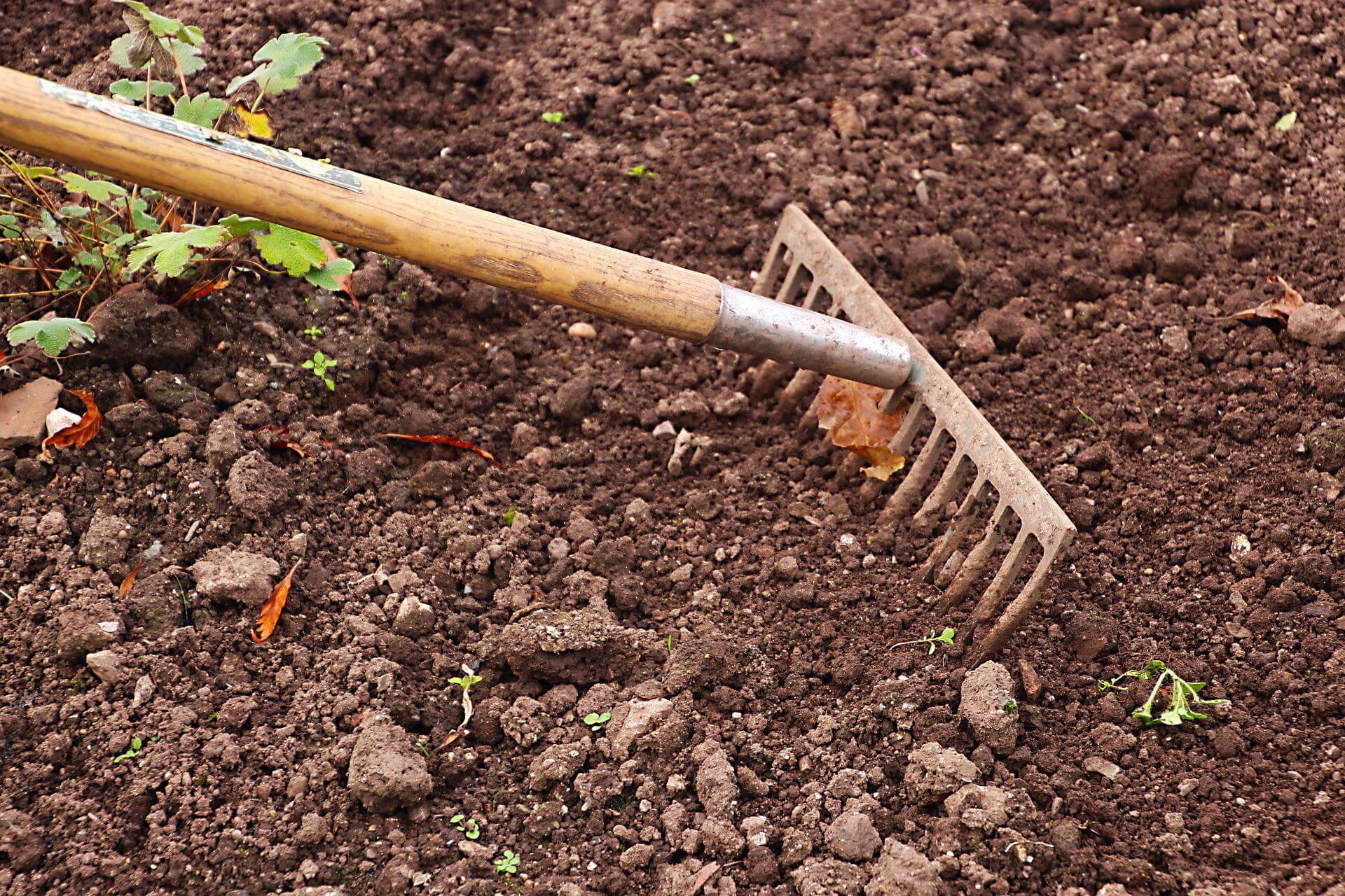good soil