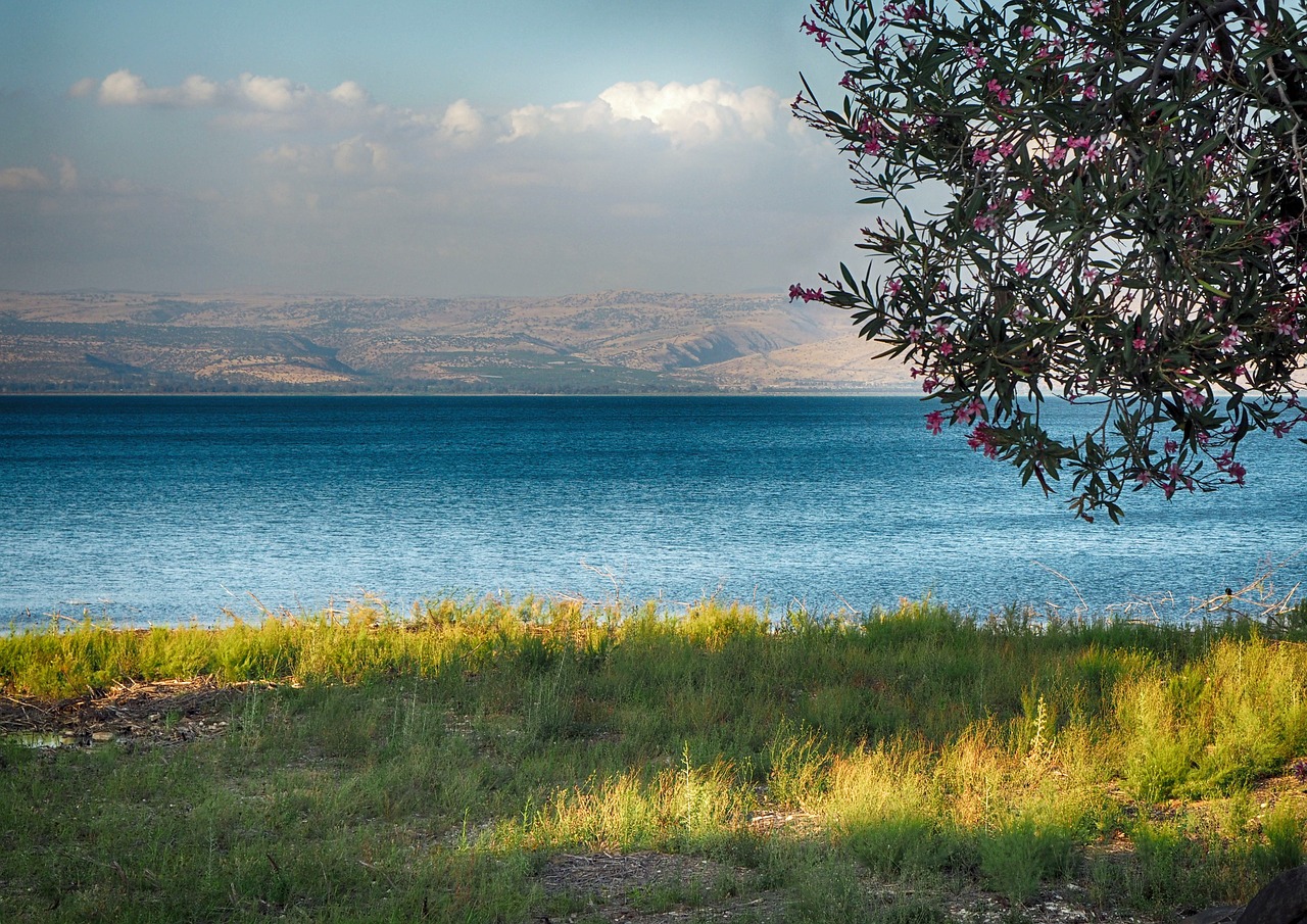 the Apostle Peter