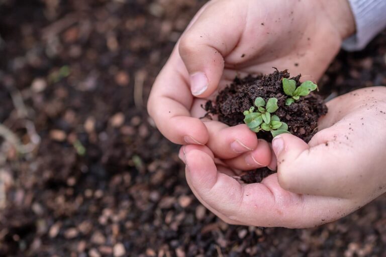 You Reap What you Sow, so Sow to Grow.