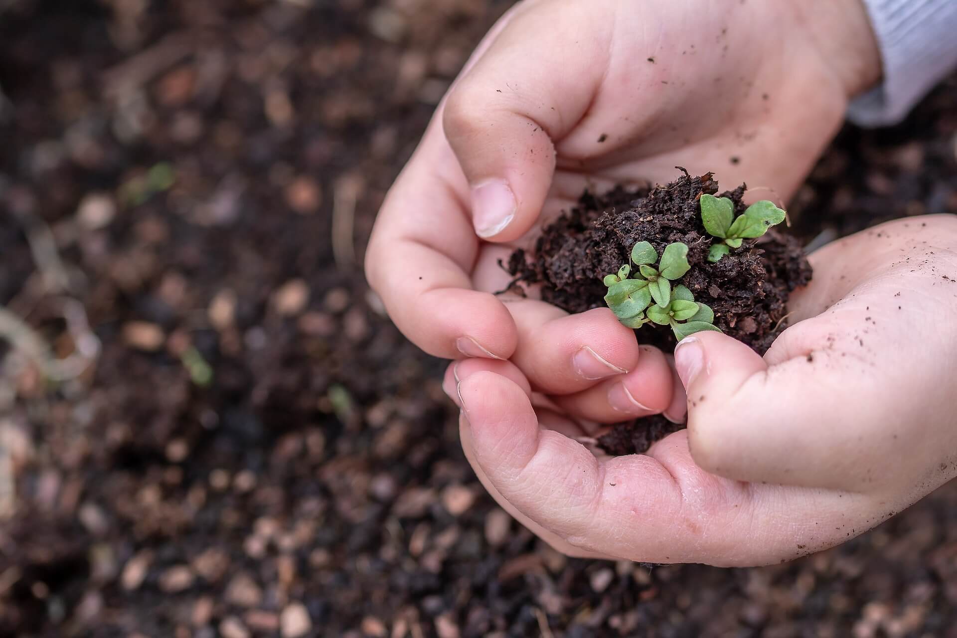 reap what you sow