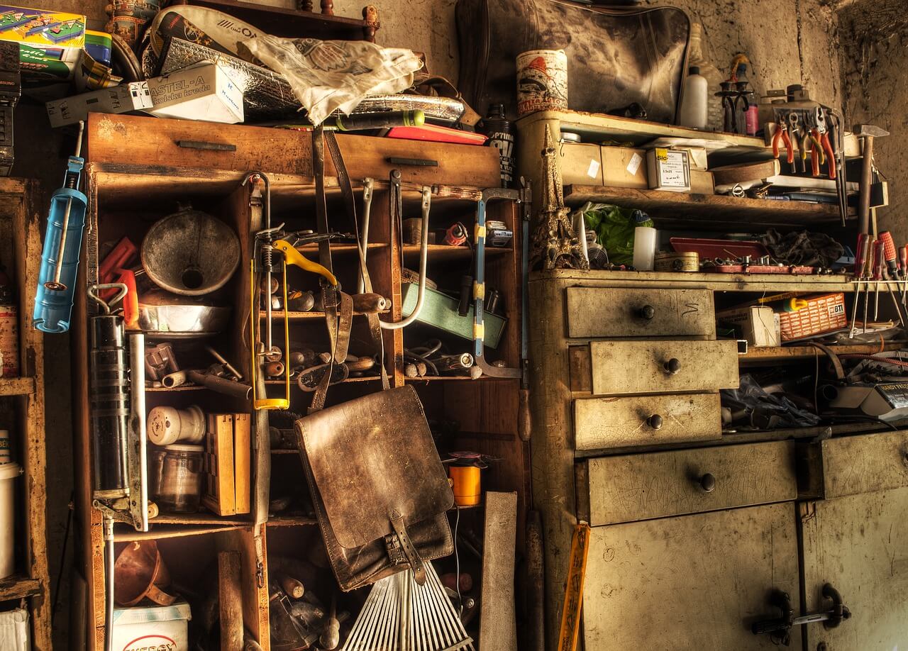 pack rat