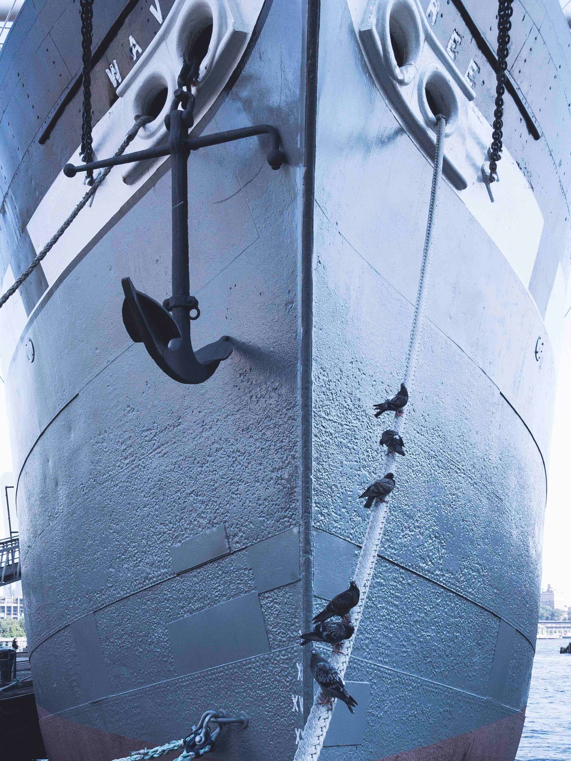 the anchor