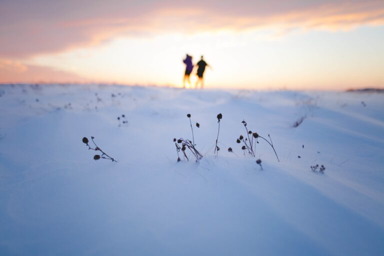 Living the Mission This Christmas: God With Us