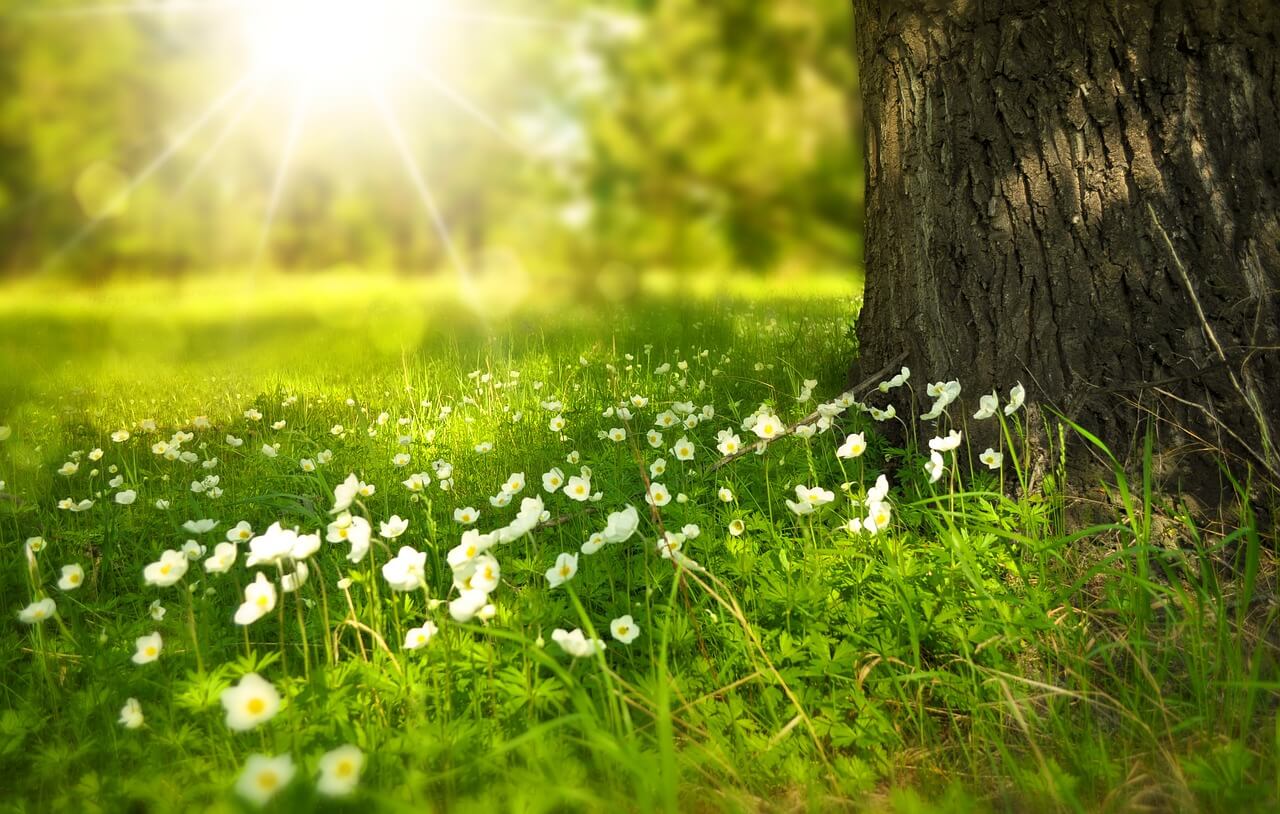 living hope