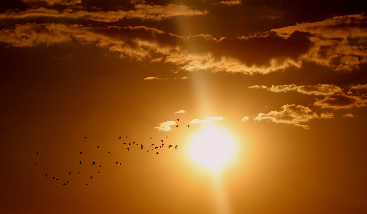 the sun