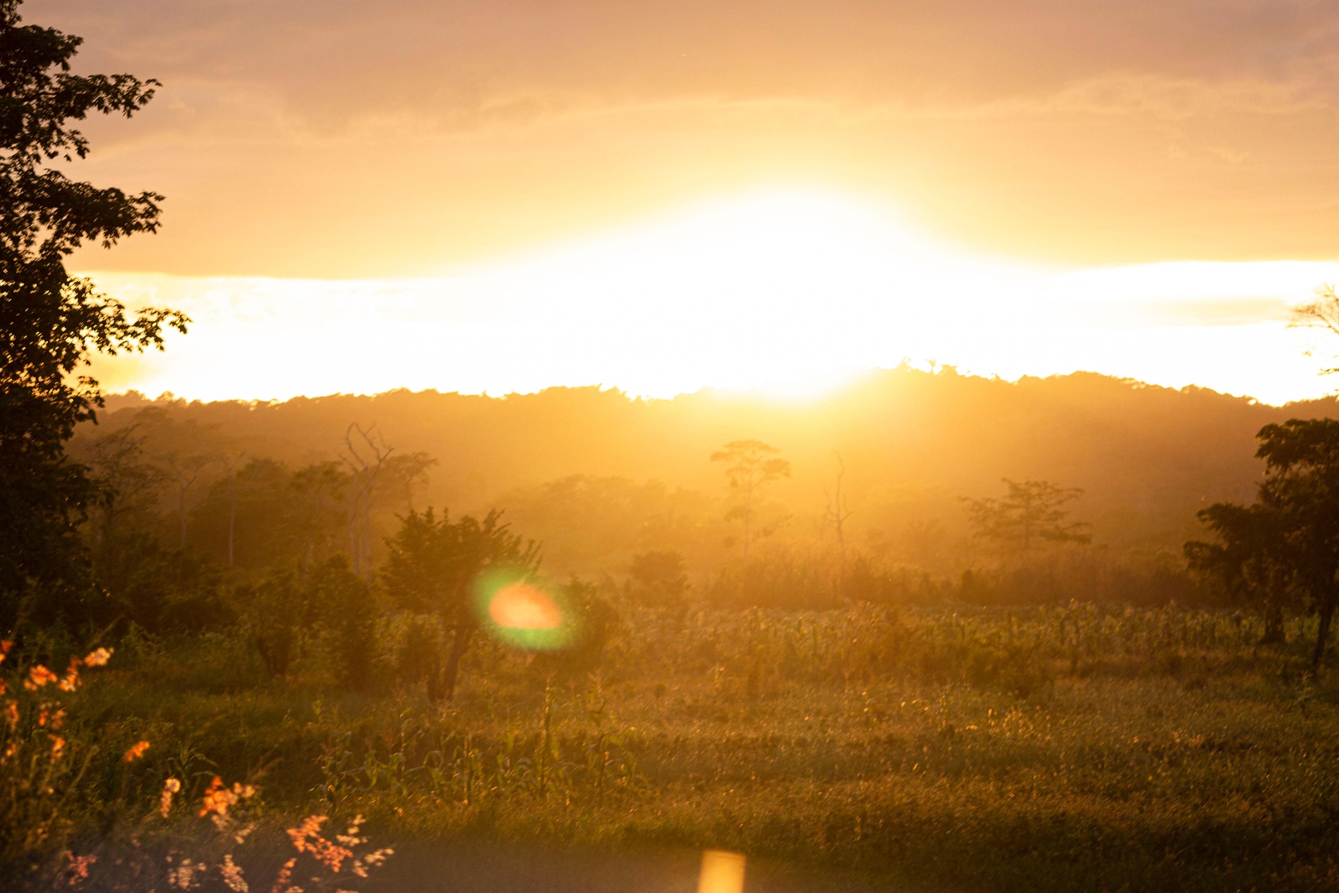 sunset