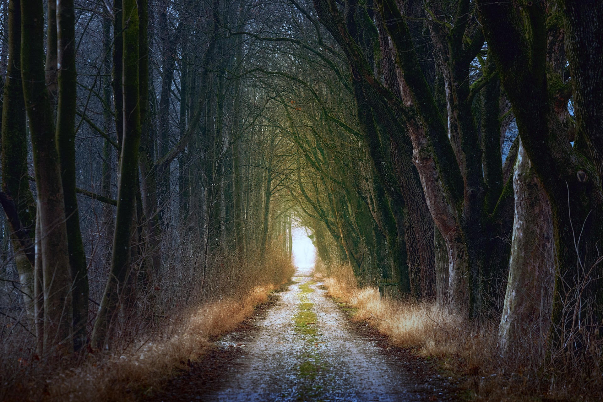 darkness to light