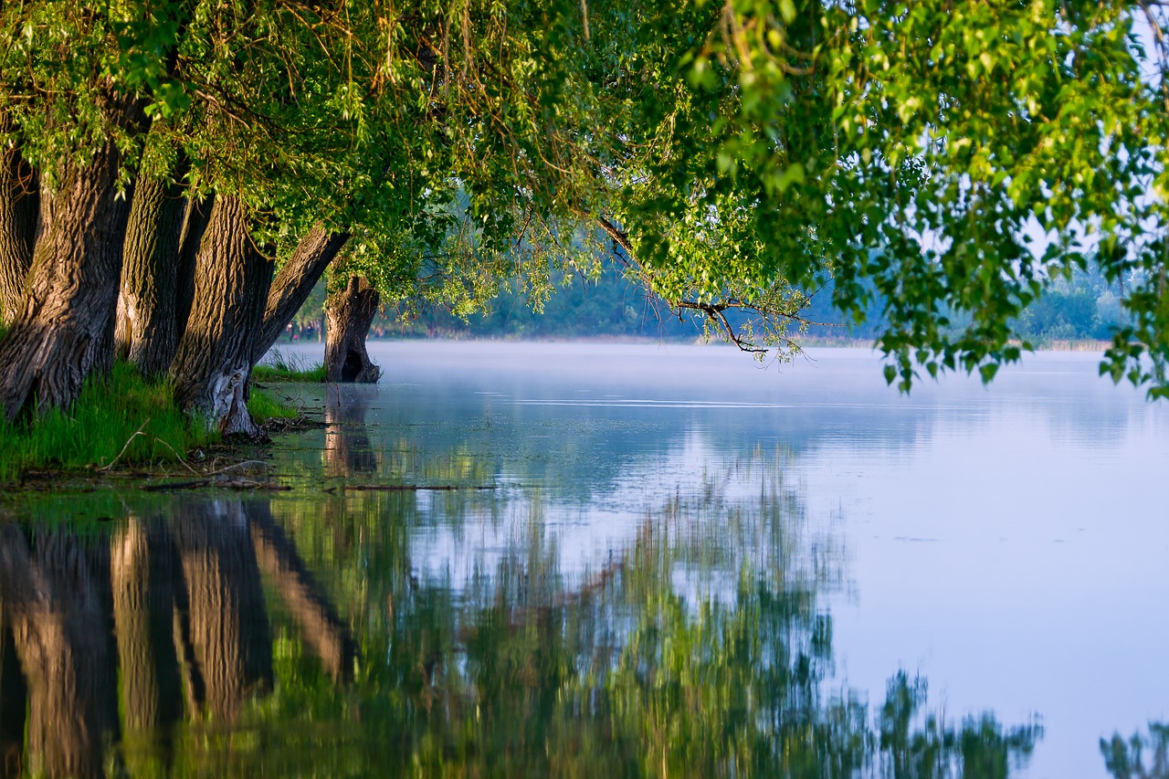 God's creation