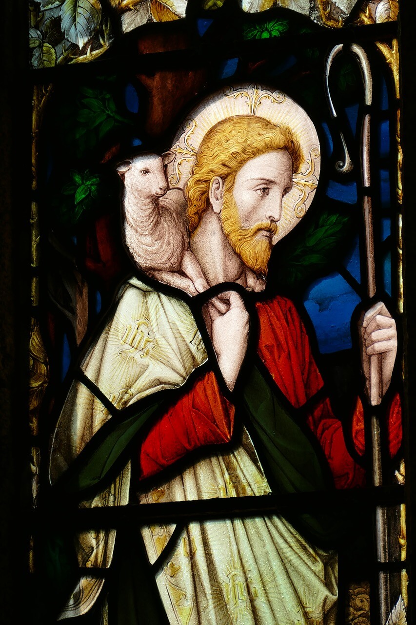 shepherd