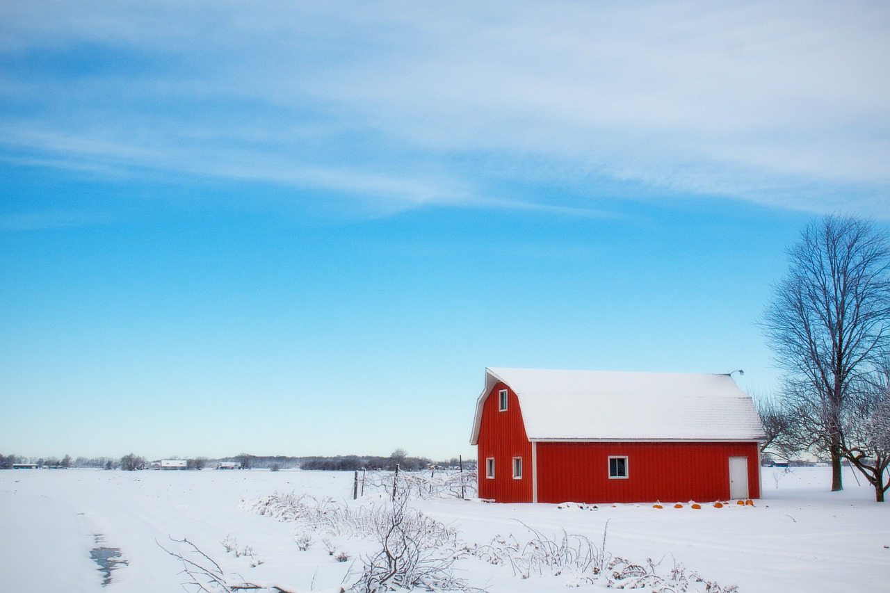 winter barn