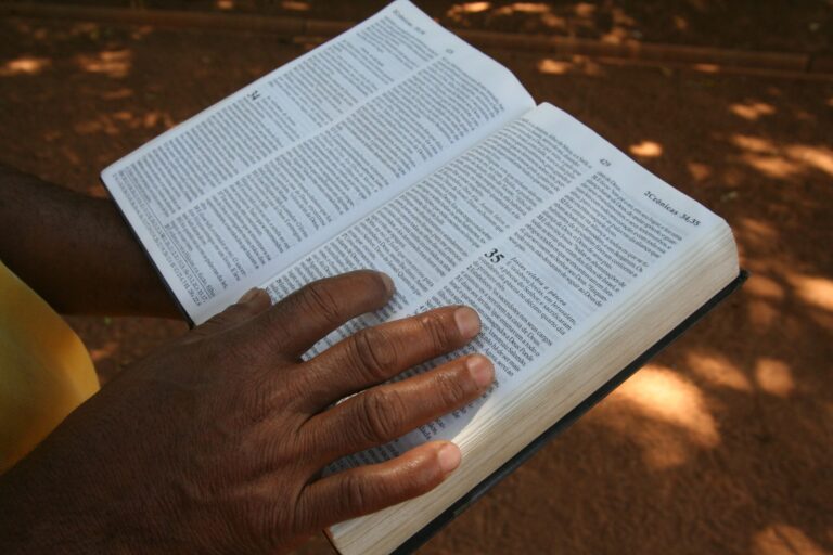 Learn the Bible