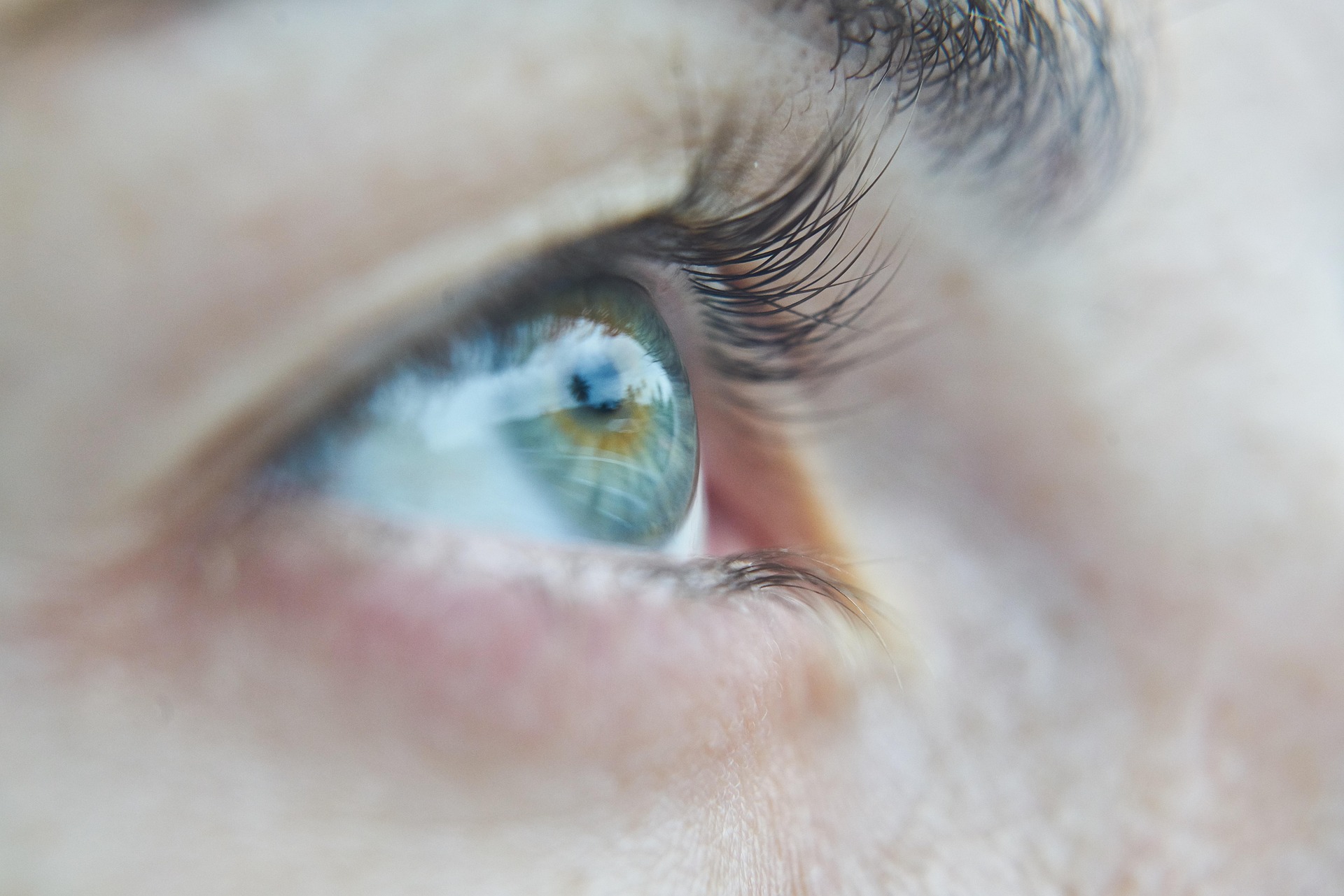 ojo