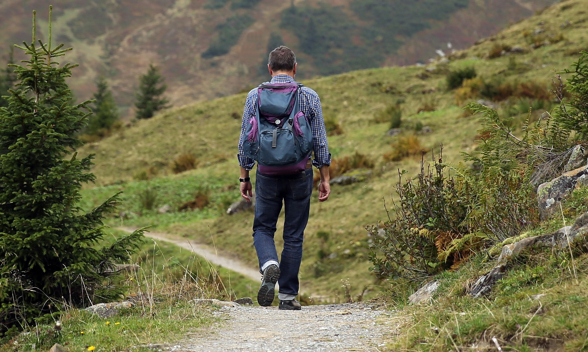 hiker